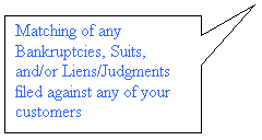 Rectangular Callout: Matching of any Bankruptcies, Suits, and/or Liens/Judgments filed against any of your customers

